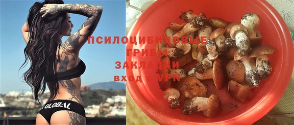 mix Горняк