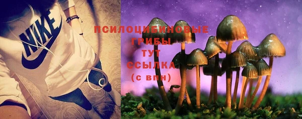 трава Горнозаводск