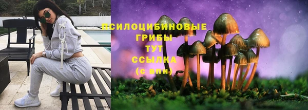 mix Горняк