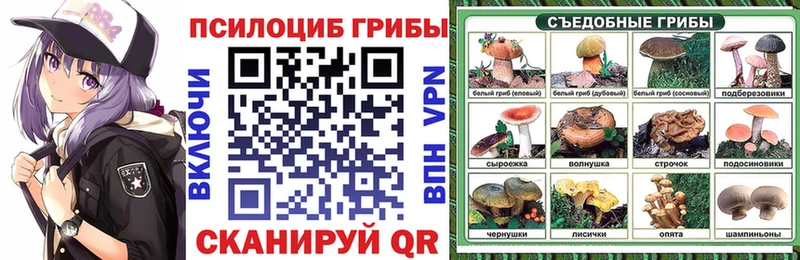 Купить где  Мглин  Галлюциногенные грибы ЛСД 